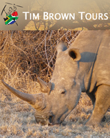 timbrowntours
